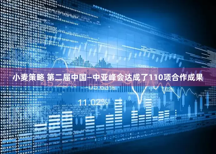 小麦策略 第二届中国—中亚峰会达成了110项合作成果