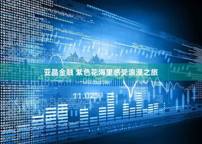 亚晶金融 紫色花海里感受浪漫之旅