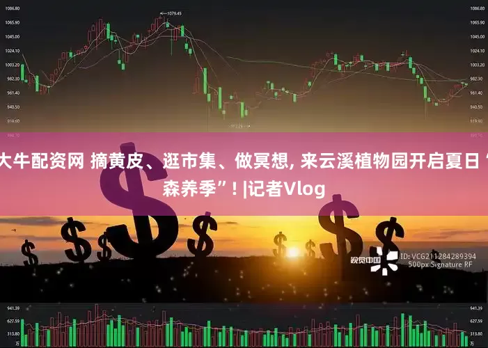 大牛配资网 摘黄皮、逛市集、做冥想, 来云溪植物园开启夏日“森养季”! |记者Vlog