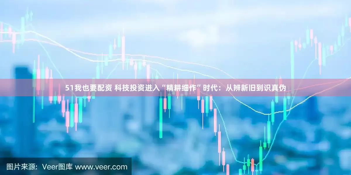 51我也要配资 科技投资进入“精耕细作”时代：从辨新旧到识真伪