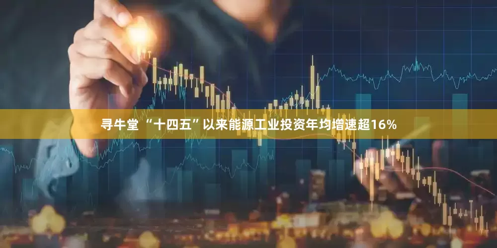 寻牛堂 “十四五”以来能源工业投资年均增速超16%
